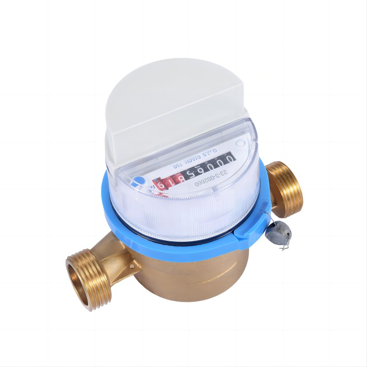 Water Meter Module With Mbus/ RS485/ LoRa/ LoRaWAN