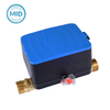 R400/R250 M-Bus/ RS485/ Pulse Output/ Lorawan/ NB-IoT Ultrasonic Water Meter